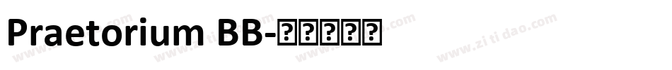 Praetorium BB字体转换